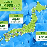 東京と大阪、宮崎　アジサイが開花　雨の間の晴れ間の開花