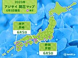 静岡・京都・神戸・長崎で「アジサイ開花」　平年より早い