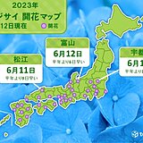 松江と宇都宮でアジサイ開花　宇都宮では平年より10日も早く