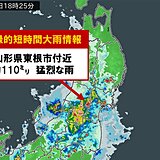 山形県東根市付近で1時間に約110ミリ「記録的短時間大雨情報」