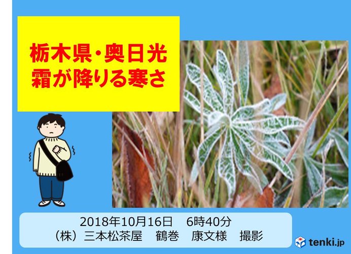 今朝の関東甲信 霜が降りる寒さも 日直予報士 18年10月18日 日本気象協会 Tenki Jp