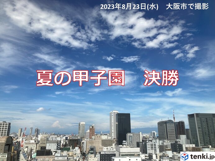 きょう23日　夏の甲子園決勝　観戦には晴雨兼用の傘を　いつもとは違う風向きに