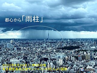 関東の一部で雨雲や雷雲が発達　東京都心から雨柱も　今夜にかけて急な雷雨に注意