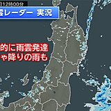 北海道や東北、北陸付近に発達した雨雲　所々でザーザー降りの雨　台風10号の影響も