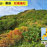 北海道　黒岳の紅葉が進行中　10月上旬には層雲峡でも!