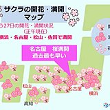 名古屋で桜満開　過去最も早く