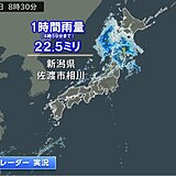 北海道～北陸に雨雲　土砂降りの雨の所も　日中は激しい雨に注意