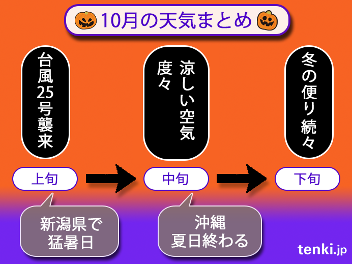 三条 市 天気 10 日間