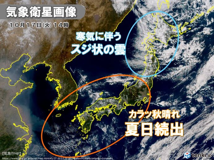 関東以西は夏日続出　夏日の過去最多記録も