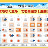 まもなく立冬　でも季節逆戻り　高温週間に