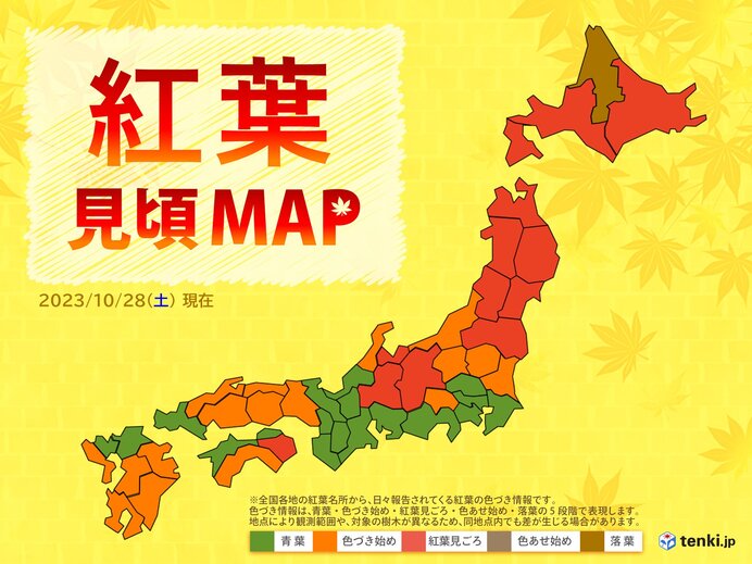 東海から西は行楽日和　山では紅葉見頃の所も