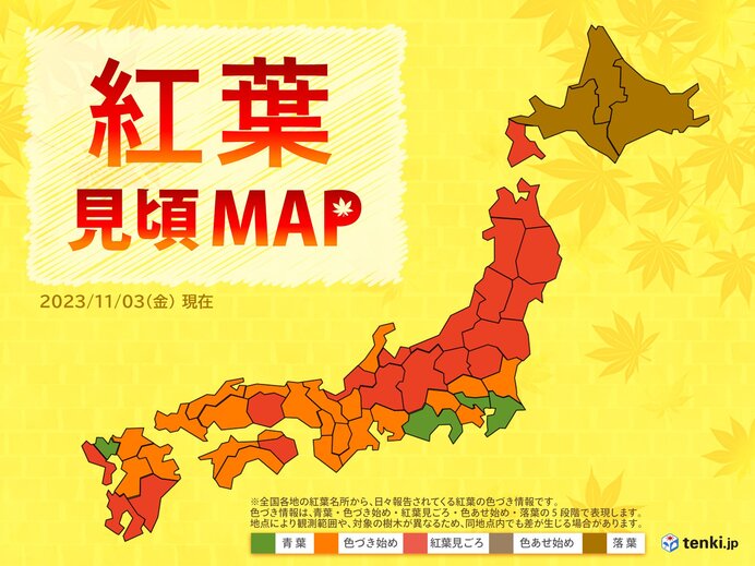 関東の山の紅葉　今どこが見頃?