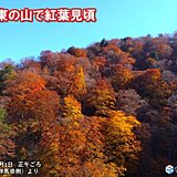関東　山では紅葉見頃　3連休は晴天続く　各地の色づきの状況は?