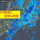 関東や東海　活発な雨雲　激しい雨も