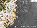 札幌市内でも一部で積雪状態に　帯広では平年より13日遅い初雪