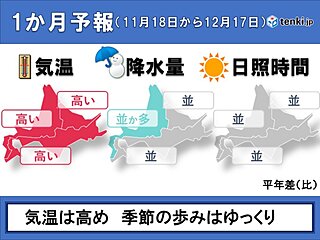 北海道の1か月予報　気温は高め　雪ではなく雨になることも