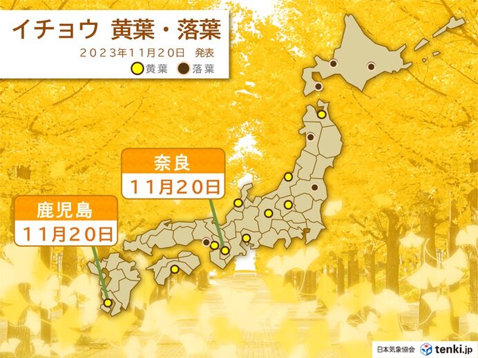 西日本の市街地でも　紅葉の色づきが進む