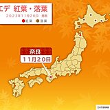 西日本でも紅葉前線が進む　鹿児島は平年より早くイチョウ黄葉　ただ今週は20℃超も