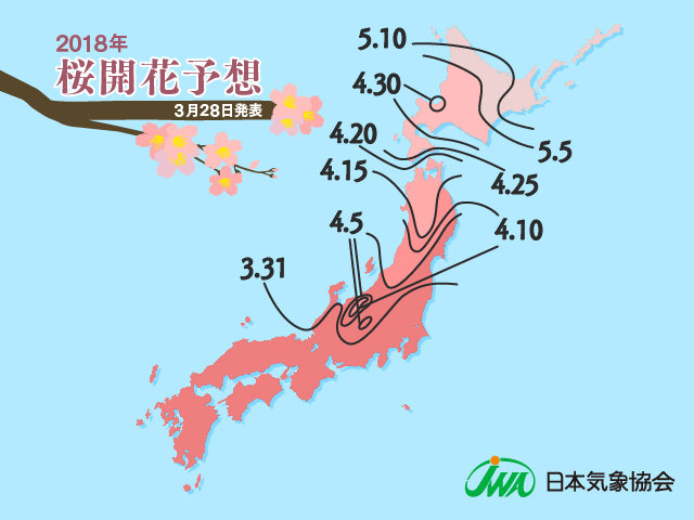 記録的に早い桜　今後は　日本気象協会