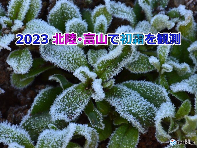 21日　富山で「初霜」北陸では今シーズン初　24日夜～25日は新潟を中心に降雪か