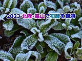 21日　富山で「初霜」北陸では今シーズン初　24日夜～25日は新潟を中心に降雪か