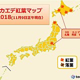 カエデ紅葉前線　関東平地にも