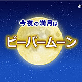 きょう27日は満月　11月の満月は「ビーバームーン」　今夜見られる所は?