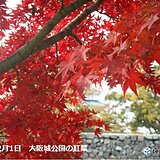 関西　今週末の天気　日曜日は広く晴れて紅葉狩り日和の所も