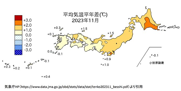 11月の天候の特徴