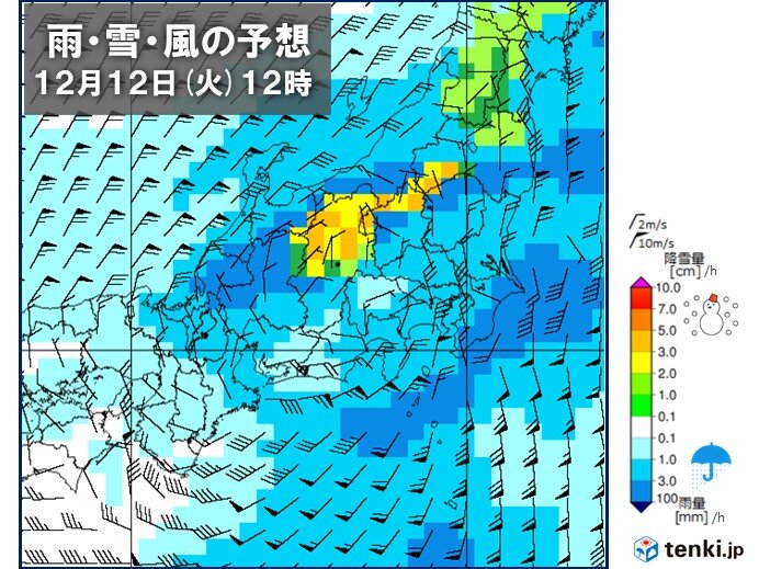 12日(火)冷たい雨　山では雪