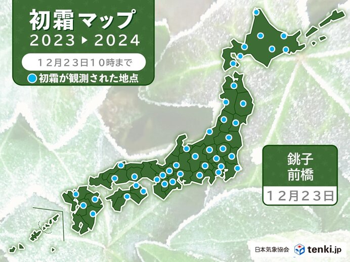 遅めの冬の便り