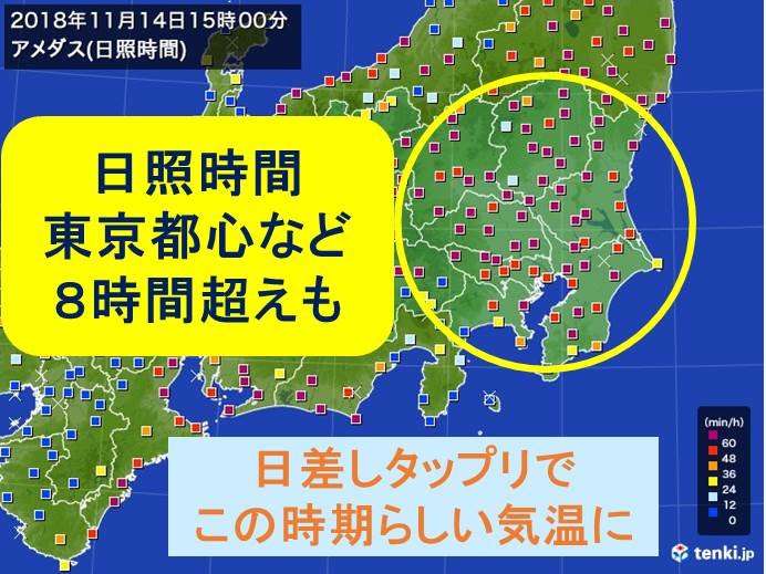 東京都心　12日ぶりに日照8時間超える