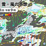 沖縄や奄美に雨雲　夜は雨エリア拡大　大晦日は全国的に雨や雪　落雷や突風に注意