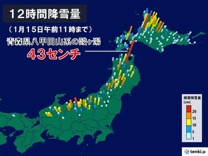 青森は半日で40センチ以上の雪　明日16日にかけて北海道、東北、北陸は大雪に警戒