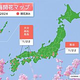 寒波が迫るなか　大分、高松、鳥取、熊谷でウメ開花　石垣島でヒカンザクラ開花