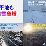 25日も寒気の影響続く　平地でも大雪　仙台はひと晩で10センチ以上の積雪に