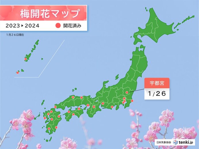 今日の最高気温　昨日より2～3℃高い　宇都宮ではウメ開花
