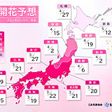 2024年桜開花予想(第1回)　開花トップは福岡・高知で3月19日　東京は20日