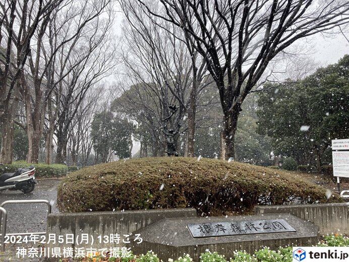 関東平野部などすでに積雪 東京都心の気温は1℃台まで低下 長野県には大雪警報も(気象予報士 日直主任 2024年02月05日) - 日本気象協会  tenki.jp