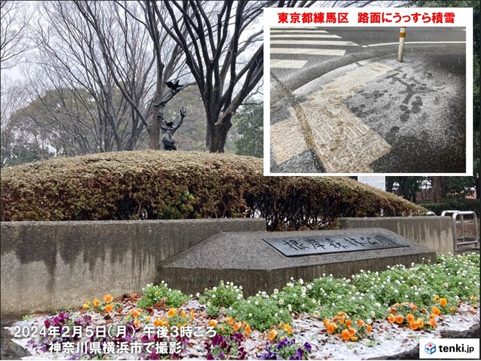 関東甲信の平地でも積雪　「大雪警報」が発表されている所も