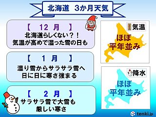 北海道12～2月　前半と後半で雪が?!