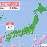 広島で梅の開花　平年より1日遅い　来週は一気に春めく