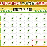 3連休明けは東京・大阪で20℃に迫る日も　スギ花粉の飛散が急増か