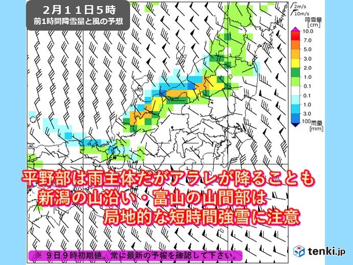 新潟の山沿いや富山の山間部で局地的な短時間強雪　平野部はアラレも