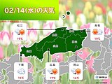 中国地方　スギ花粉が山口県で飛散開始　そのほかの地方も本格的なスギ花粉飛散間近