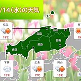 中国地方　スギ花粉が山口県で飛散開始　そのほかの地方も本格的なスギ花粉飛散間近