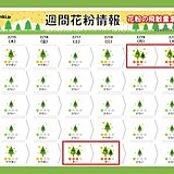 明日15日　南風強まり花粉の飛散量増加へ　週明けの東京「多い」に更にランクアップ