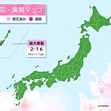 南大東島でサクラ開花　平年より27日遅く昨年より9日遅い