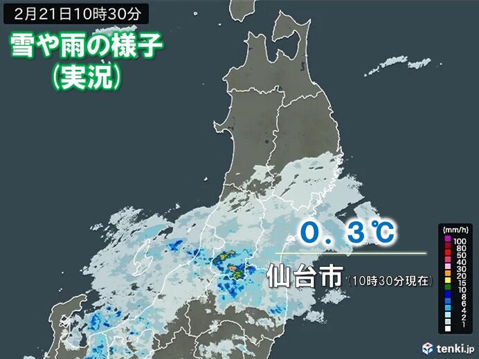 東北は南部を中心に午前中から雪 午後は東北北部にも雪の範囲が広がる 大雪の恐れも(気象予報士 小寺 啓太 2024年02月21日) - 日本気象協会  tenki.jp