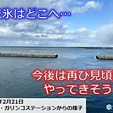 北海道の流氷情報　紋別の流氷も戻ってきそう　見頃はいつまで?